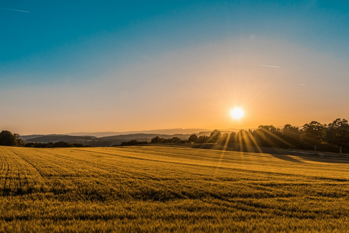 Open prairie fields under a wide Nebraska-style sky — stock landscape